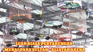 Waouu... Luar biasa pertarungan murai Para sultan - Event Bergengsi - ALLSTAR ARENA BOGOR. 20/10/24.