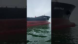 Kapal tanker Besar #shorts #tiktok #kapal #pelaut #shortvideo