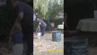 BABY CREATING PROBLEM FOR GRANDPA FUNNY VIDEO #FUNNY #BABY #VIRAL #trending #REELS #scam