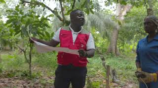 Livelihoods - AgroeEco project in Ghana