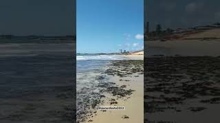 Praia de cotovelo é uma praia isolada e calma, se destaca pelas  suas falésias.  #nordeste #praia