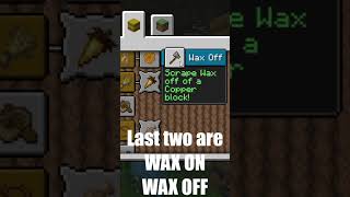 Minecraft | How to get ALL BEE releated advancements #Shorts