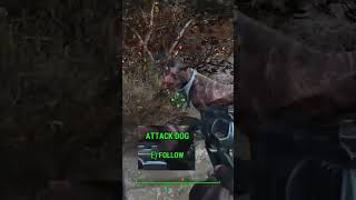 Animal Friend / Wasteland Whisperer Perk Demo - Fallout 4