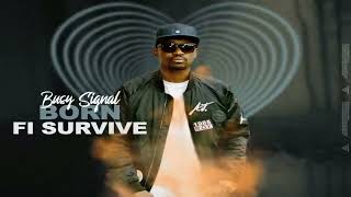 busy signal -born fi survive