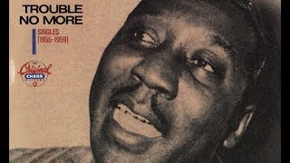 Muddy Waters - Trouble No More (ft. Willie Dixon on bass)