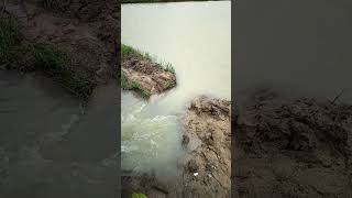 #important #of #rain #water #agriculture #work #farming #farm #shorts #views #viral #video