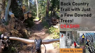 Back Country E-Bike Ride w/Crash