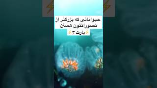 حیواناتی که بزرگتر از تصوراتتون هستن پارت ۳