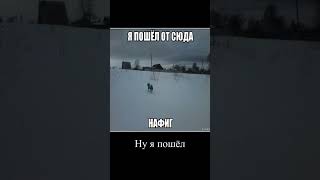 #мем #можноврек #пжактив #помогитенабратьподписчиков #plslikesubscribe #omg