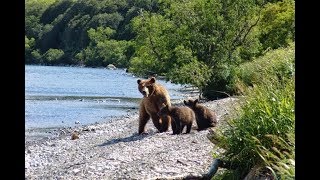 Остров Сахалин. Природа Сахалина. Достопримечательности.