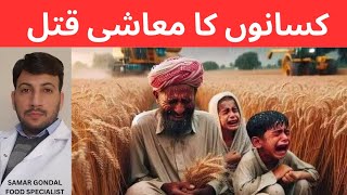 Government wrong policies regarding wheat procurement | کسانوں کا معاشی قتل