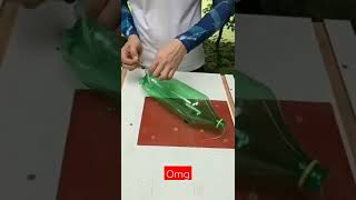 روش خلاقانه چیدن میوه درخت ، باغبانی آسون تر میشه #diy_idea #باغبانی #ترفندهای_جالب