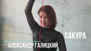 Александр Галицкий - Сакура