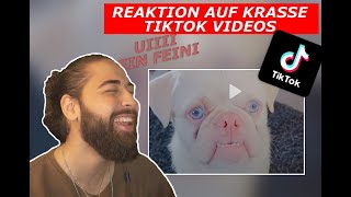 Mucaoo reagiert auf KRASSE TIKTOKS! | Infos zu Twitch | Mucaoo Tiktok Favs