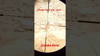 شکار تیهو تقدیم به نگاه زیباتون......واردکانال شو از کلیپ لذت ببرهرهفته کلیپ شکارداریم🥰