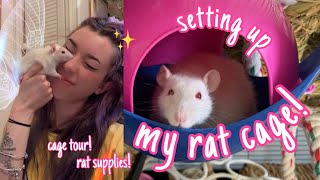 how i set up my RAT CAGE! 🐁💛