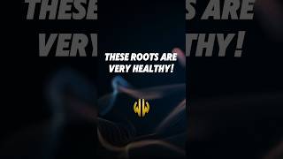 The SECRET Health Benefits of ROOTS You NEED to Know! #shorts #roots #healthbenefits