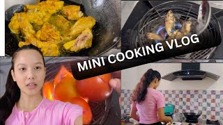 My mini Cooking Random Vlog  | Vlog25 @MirmilyHansepisvlog