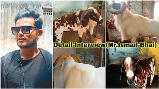 Royapuram IK | Ismail Bhai SHED | Detail Interview| Goat & Sheep Farming |#goat #sheep #tamil #india