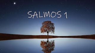 Salmos 1 - Os justos e os ímpios