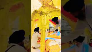 Mai Chare Kunda Bhalia🙏|| Tudha Jewad Na Saiyan||#short #amritvela #banglasahiblive #shortvideo