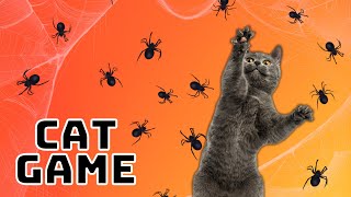 Cat Game - Spiders on the Screen Spooky Halloween Game