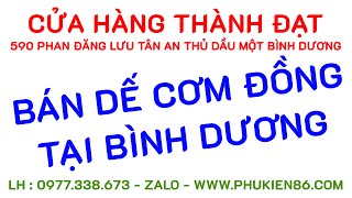 Bán Dế Cơm Tại Bình Dương Thủ Dầu Một 0977.338.673 - Zalo - Dế Cơm Đồng Dế Cơm Thiên Nhiên