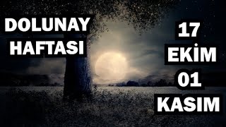 DOLUNAY HAFTASI 17 EKİM - 01 KASIM 2024