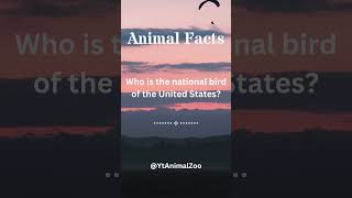 Unveiling the Wonders Incredible Animal Facts Revealed Engaging Wildlife Trivia 8