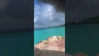 Beautiful blue water in Curaçao 💙