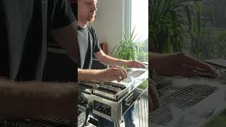 Heart of Gold - Pedal Steelguitar -