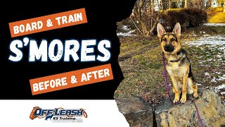 German Shepherd, 1 y/o, “S’mores” | Amazing German Shepherd Training | Spokane