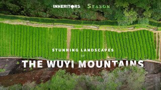 A View from Heaven: Stunning Landscapes of the Wuyi Mountains