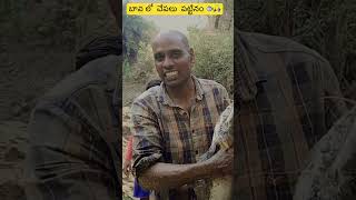 ఈ బావి  లో చేపలు చుడండి 🐟🐠||village fish hunting||kaccha||dhoom dhaam channel