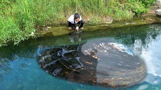 There are big river clams under the deep pool, and we have harvested enough pearls this time