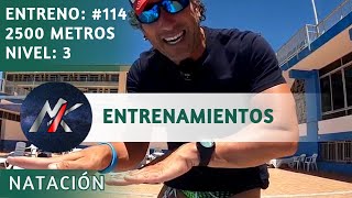 🏊 DIARIO de ENTRENAMIENTOS 📖 Capítulo 114: NADO en MALDIVAS... ¡CHUPANDO RUEDA! 🌀 [Entrenamientos]