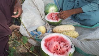 desert village life in pakistandesert village lifedesert village life TharparkarVlog568