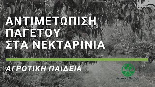 Αντιμετώπιση του παγετού στα νεκταρίνια - Αγροτική παιδεία - S1E12