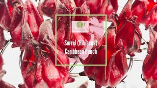 Sorrel (Hibiscus) Caribbean Christmas Punch