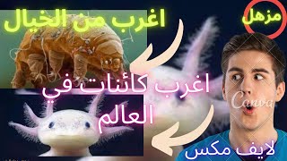 اغرب واندر الكائنات على وجه الارض لم تروها من قبل ..!!