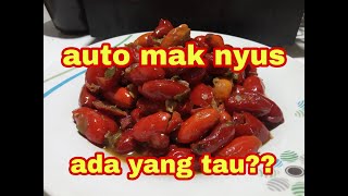 masakan daerah,masakan khas indonesia bikin auto gobyos pokoknya, [masak kapsul]