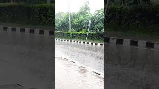 বাদলা দিনে মনে পড়ে ছেলে বেলার গান #rainyday #viral #shortsvideo