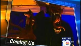 #1  Halloween Haunted House 2006 Sunrise Haunted Manor 6PM News Teaser