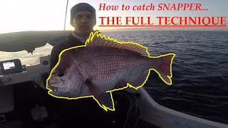 How to catch Snapper - THE COMPLETE GUIDE!