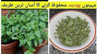 How to store mint /Easy way to dry mint leaves/مہینوں پودینہ محفوظ کرنے کا آسان طریقہ