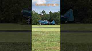 Triple Tree Aerodrome 2023 - T-6 Landing! #vintageaircraft #airplane #flight #aircraft #aircraft