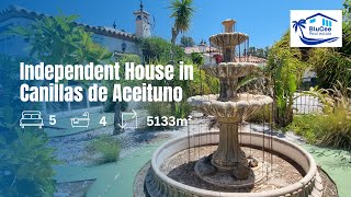 Canillas de Aceituno House For Sale