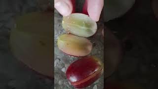 #satisfying #Slicing grape's #shorts