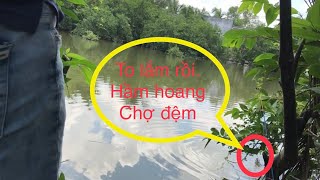 Hầm cá hoang ngay cầu Chợ Đệm cực hot