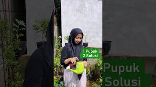 1 Pupuk 2 Solusi